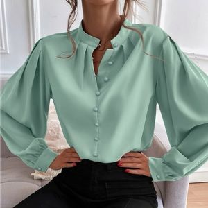 Luxurious satin bishop sleeve blouse